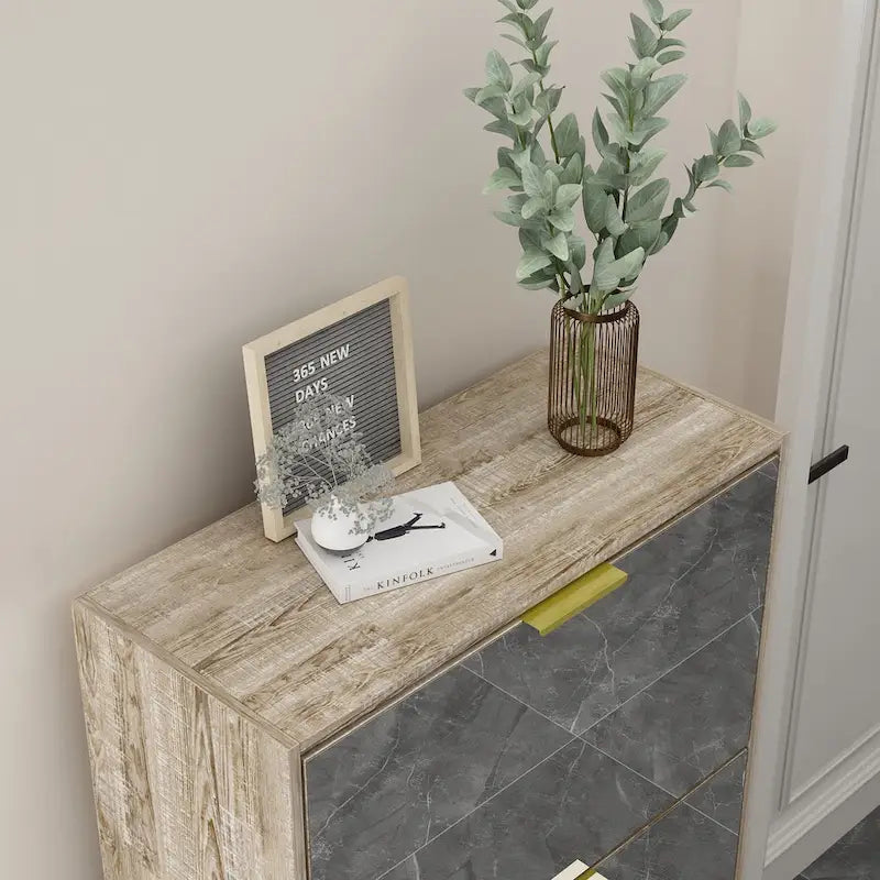 Mirrored Flip Drawer Shoe Cabinet Storage Cabinet Organizer